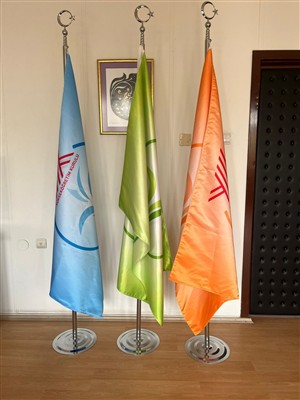 Engelli Erişebilirliği
